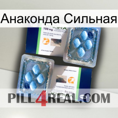 Анаконда Сильная viagra5